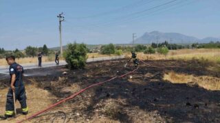MUĞLA'NIN DATÇA İLÇESİNDE YERLEŞİM ALANINA YAKIN NOKTADA ÇIKAN KURU OT YANGINI, EKİPLERİN HIZLI MÜDAHALESİYLE BÜYÜMEDEN SÖNDÜRÜLDÜ.