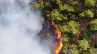 MUĞLA'NIN MARMARİS İLÇESİNDE BULUNAN VE KARA ULAŞIMININ ZOR OLDUĞU KABAKARGI KOYU'NDAKİ ORMANLIK ALANDA ÇIKAN YANGINA 23 HAVA UNSURU İLE MÜDAHALE EDİLİYOR.
