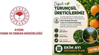 AYDIN İL TARIM VE ORMAN MÜDÜRLÜĞÜ, TURUNÇGİL ÜRETİCİLERİNİ EKİM AYINDA BAHÇELERİNDE GERÇEKLEŞTİRMELERİ GEREKEN KÜLTÜREL VE BİYOLOJİK MÜCADELE UYGULAMALARINA KARŞI UYARDI.