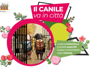 cani