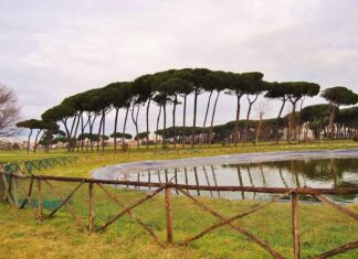 Villa Guglielmi: concerto gratuito nella pineta di Fiumicino
