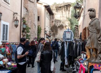 Ficus al Massimo: il market dentro un museo vicino Circo Massimo