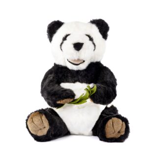 Panda Lisbona
