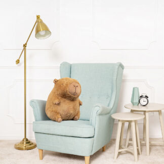 Capybara
