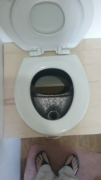 sparkle potty!