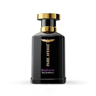 Park Avenue Euphoria – Eau De Parfum Men, 100ml | Perfume for Men | Premium Luxury Fragrance Scent | Long-lasting Aroma Perfume - Image 2
