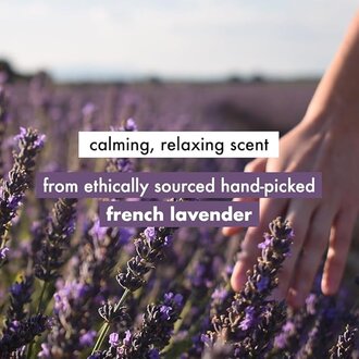 Love Beauty & Planet Argan Oil and Lavender Sulfate Free Smooth and Serene Shampoo|| No Parabens|| No Dyes|| 400ml - Image 6