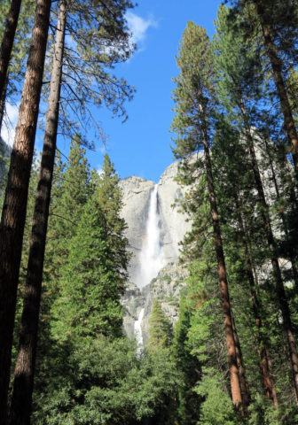 yosemite national park, yosemite amazing fall destination, yosemite, half dome, bridal veil fallas