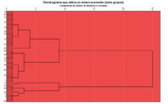 Análisis de Conglomerados con Dendograma Análisis de Conglomerados con Dendograma
