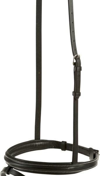 Prekonosni Eric Thomas Pro crni