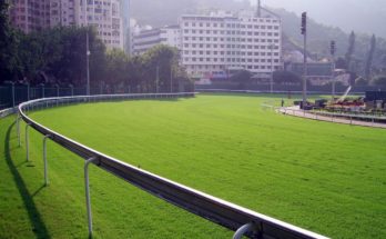 Happy Valley