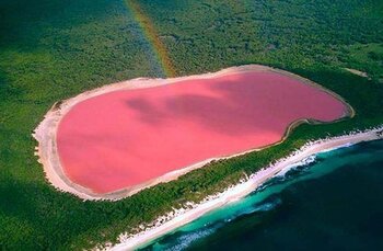 Stunning bird  view on pink lake of Koyashskoe