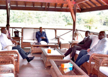 President Dennis Sassou Nguesso of Cong Brazzaville, President Felix Tshisekedi of the Democratic Republic of Congo and President Faure Essozimna Gnassingbé Eyadéma of Togo in a meeting recently. African cooperation needed more than ever after COVID-19