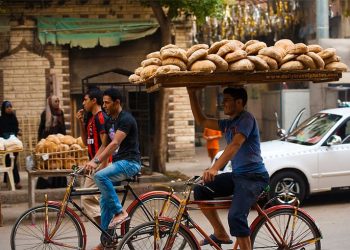 Bread delivery in Cairo, Egypt