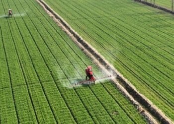 Farmers drive sprinkler irrigation machines in a wheat field in East China’s Jiangsu province. Costfoto/Future Publishing via Getty Images