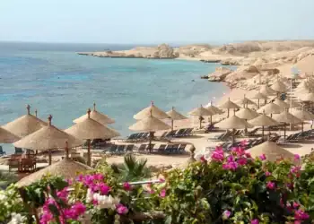 Beach with parasols and blooming bougainvillea near Sharm el-Sheikh,Red Sea,Egypt. Getty Images
