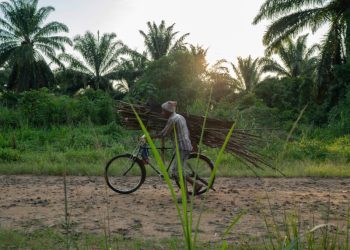FILE - A man carries wood on his bicycle as he rides past a cemetery in Beni, Congo, Tuesday, July 16, 2019. (AP Photo/Jerome Delay, file)