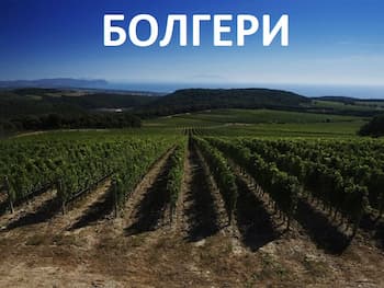 Экскурсии из Форте дей Марми - Виареджо в столицу супертосканских вин Болгери