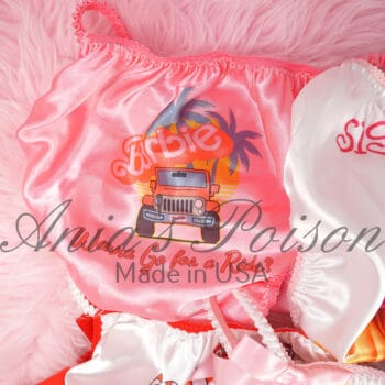 Ania's Sissy Satin Panties 6 Piece Lot Custom Printed string bikinis shiny wetlook men's panties sz S - Image 5