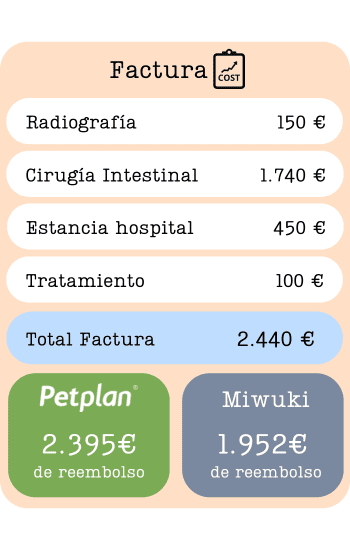 Copia de FRA COMPARATIVA (350 × 550 px)