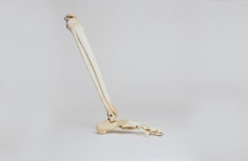 Sam Towers of Surry Hills Discusses When to See a Podiatrist for Foot Pain