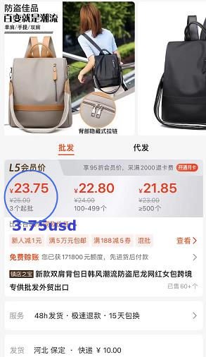 nylon backpack on local market