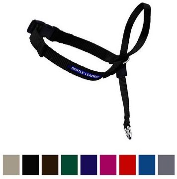 Gentle Leader Dog Halti - Black gentle leader used for dogs that pull with color chart