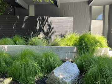 Numa Gardens