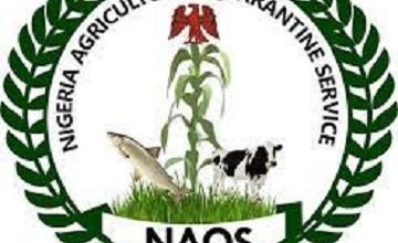 NAQS Recruitment - Application Requirements Eligibility and Procedure