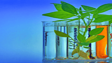 fotosíntesis artificial