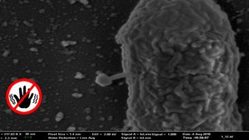 Protección contra virus