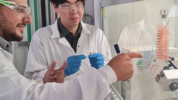 Bioadhesivos biomiméticos