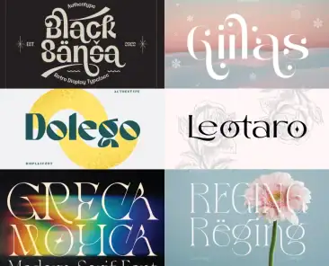 Elegant Fonts for Beauty Logos