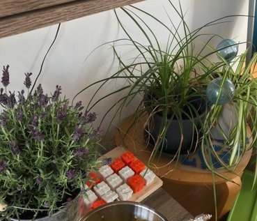 Gardening Tips: Things I learnt not to do 5 Gardening Tips: Things I learnt not to do