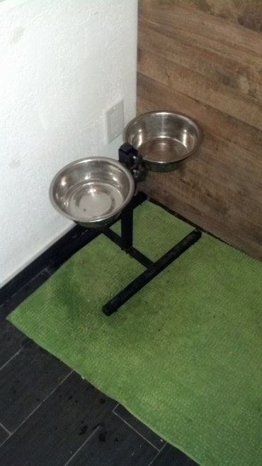 I never showed his food dishes either, I changed out his old deformed cut up Amazon box that he had been using for a ‘real’ set of elevated food bowls, he’s nervous for it every morning, he’s not trusting of it, its kind of hilarious, he begrudgingly uses it though :)