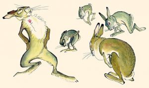 skazka-pro-hrabrogo-zajtsa-14