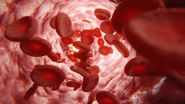 First Choice Health Care Galax on the Importance of Regular PT/INR Testing for Patients on Coumadin