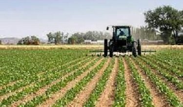 Federal Government Agric Loan Application Guide