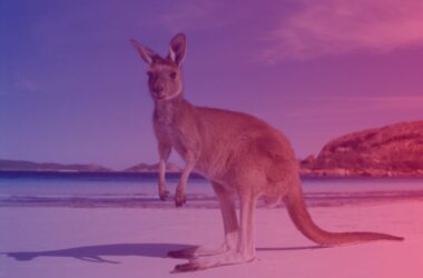 Australian internet usage