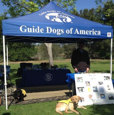 Pups Tagg and Duncan at GDA Booth
