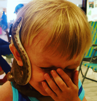 Two Year Old Boy Catches Snakes Alive