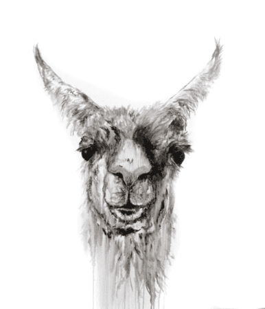 llama wall art nashville artist kristin llamas