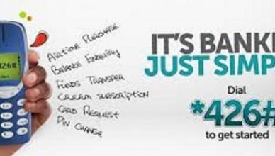 How to Transfer Money from Access Diamond Bank Very Fast