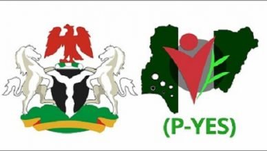 PYES Login Portal - Full Online Guide On How To Login To PYES Portal