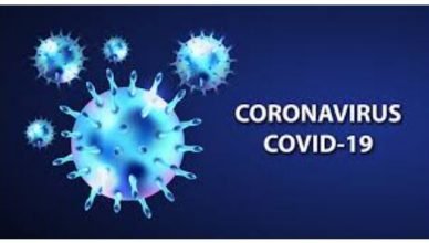 Causes and Symptoms of Coronavirus Disease (COVID-19)