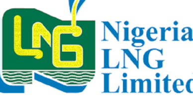 NLNG Undergraduate Scholarship - Win N300000 Cash from NLNG