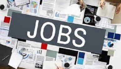 Best Graduate Jobs in Nigeria for Interested Applicants - Eligibility Requirement
