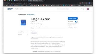 Zoom For Google Mail