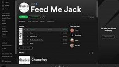 Spotify Player Online