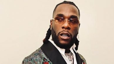 Burna Boy Net Worth